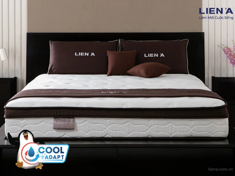 Các dòng nệm Liên Á nổi bật tại Nệm Bình Dương