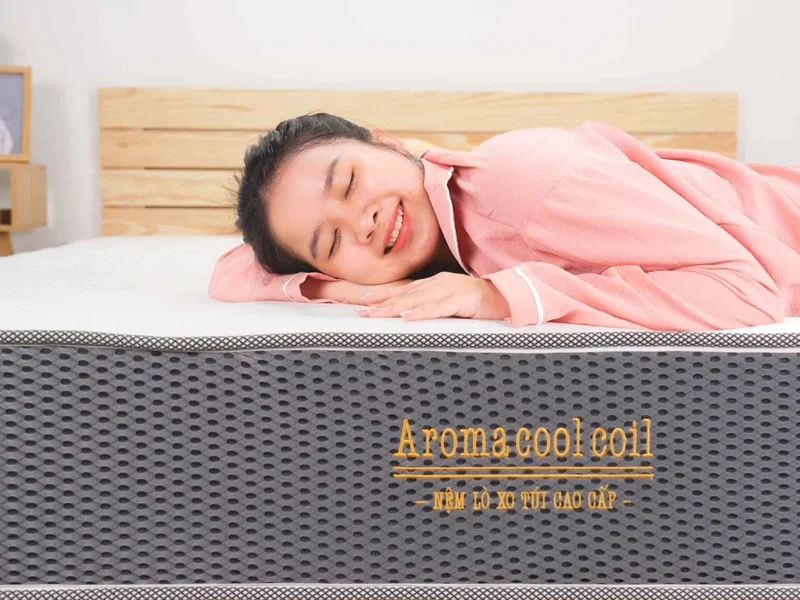 Các thương hiệu nệm lò xo được ưa chuộng tại Nệm Bình Dương
