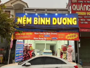 Cửa hàng nệm cao su tại Thuận An - Địa chỉ uy tín, giá tốt