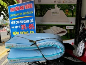 Cửa Hàng Nệm Foam Tại Thuận An – Giấc Ngủ êm ái Với Giá Tốt Nhất