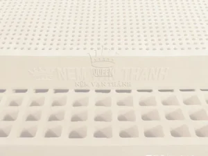 Giao Nệm Cao Su Thiên Nhiên Vạn Thành Standard 1m8x2m 10cm Kèm Gối Cao Su Tại Tân Uyên