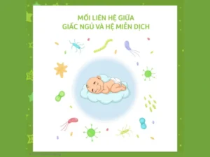 Mối liên hệ giữa giấc ngủ và hệ miễn dịch
