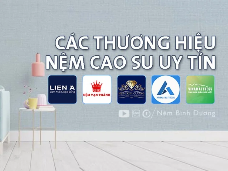 Các loại nệm cao su phổ biến hiện nay