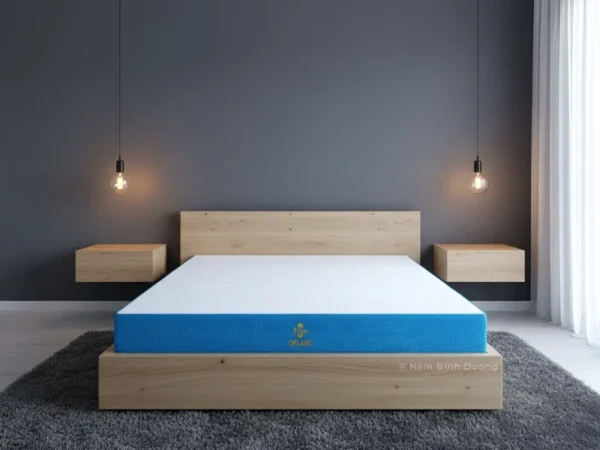 Nệm Cao Su Aroma Organic