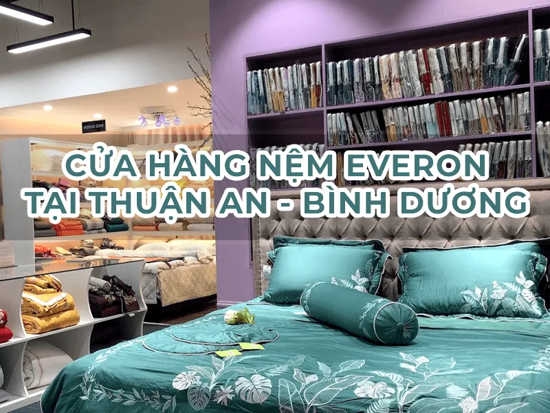 Cửa Hàng Nệm Everon Tại Thuận An – Nệm Bình Dương