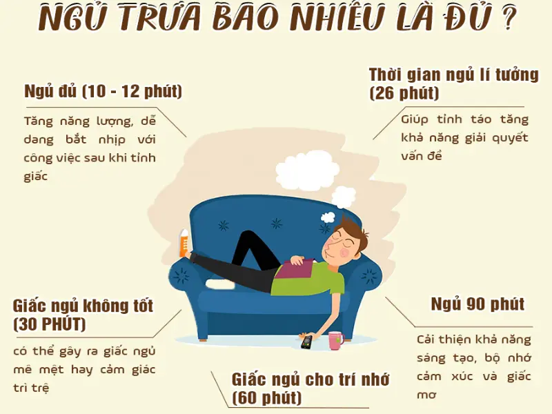 Lợi ích Của Giấc Ngủ Trưa Ngắn đối Với Sức Khỏe Và Tinh Thần Mỗi Ngày