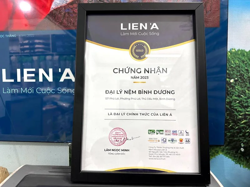 Cửa Hàng Nệm Liên Á Tại Thuận An - Đại lý Nệm Bình Dương