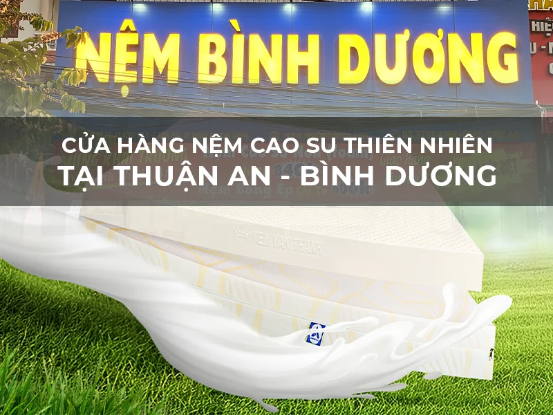 Cửa Hàng Nệm Cao Su Thiên Nhiên Tại Thuận An