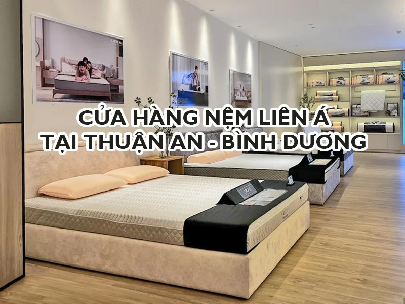 Cửa Hàng Nệm Liên Á Tại Thuận An