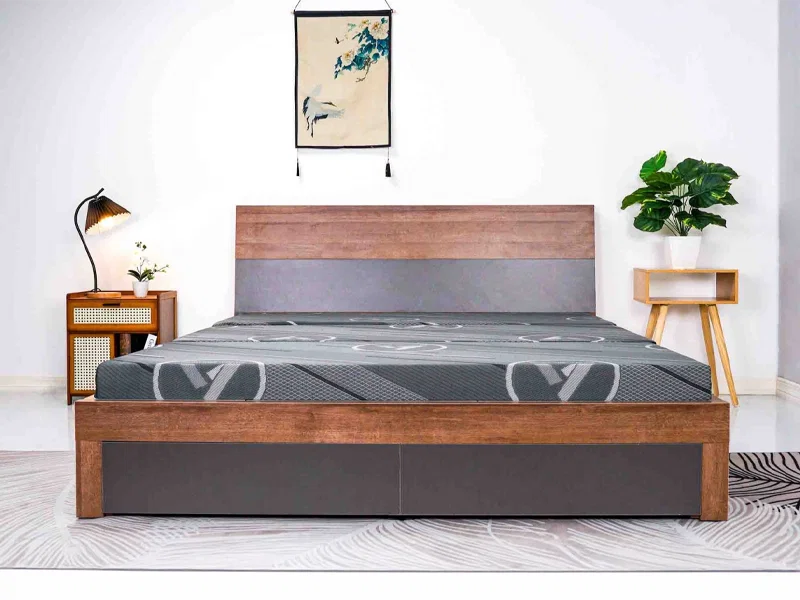 Đại Lý Nệm Giá Rẻ Tại Thuận An - nệm bông ép Aroma Hoạt Tính