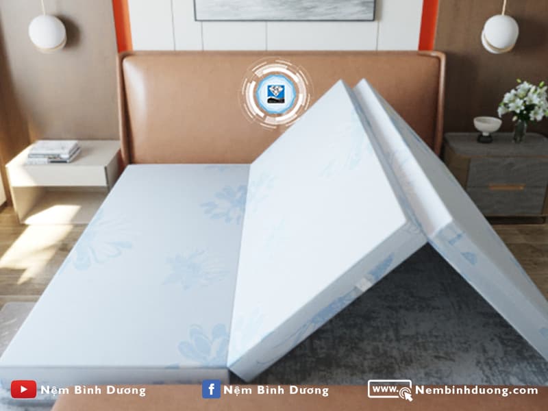 Đại Lý Nệm Bông ép Tại Thuận An - Nệm bông ép Kim Cương Acness