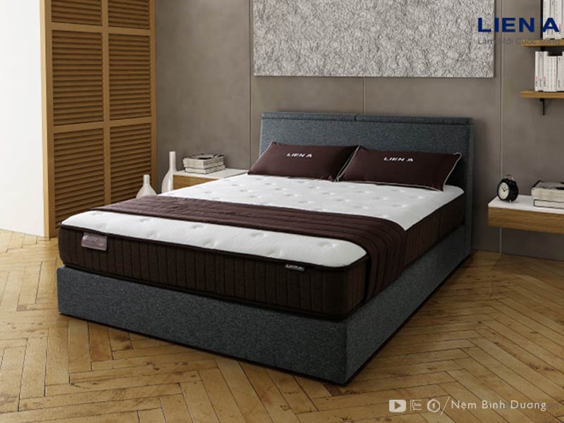 Đại Lý Nệm Lò Xo Tại Thuận An - Nệm lò xo Liên Á Cocoon Firm