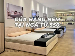 Cửa Hàng Nệm Tại Ngã Tư 550 Thuận An