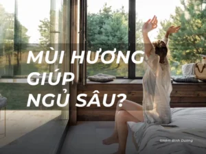 Mùi Hương Giúp Ngủ Sâu: Khám Phá Giải Pháp Cho Giấc Ngủ Chất Lượng