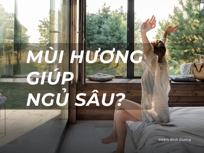 Mùi Hương Giúp Ngủ Sâu: Khám Phá Giải Pháp Cho Giấc Ngủ Chất Lượng 1 Mùi Hương Giúp Ngủ Sâu: Khám Phá Giải Pháp Cho Giấc Ngủ Chất Lượng