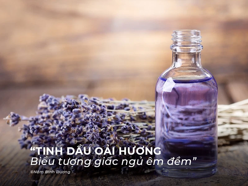 Tinh dầu Oải Hương - Biểu tượng của giấc ngủ êm đềm Mùi Hương Giúp Ngủ Sâu: Khám Phá Giải Pháp Cho Giấc Ngủ Chất Lượng