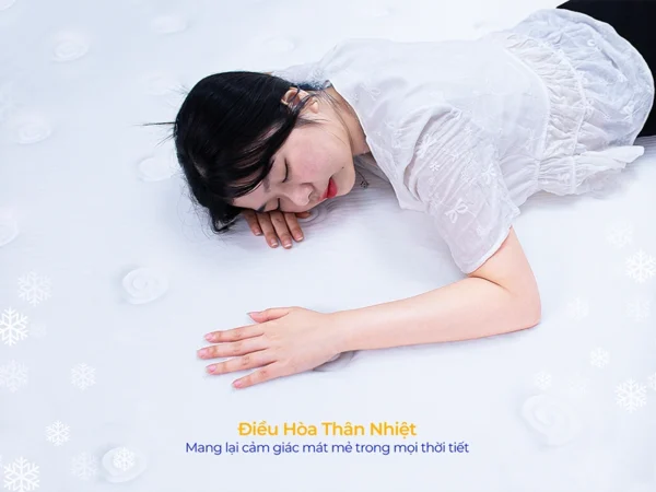 Nệm Lò Xo Aroma Ruby 3 Viền