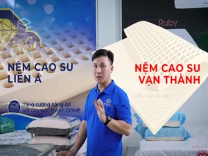 So Sánh Nệm Cao Su Liên Á Và Vạn Thành