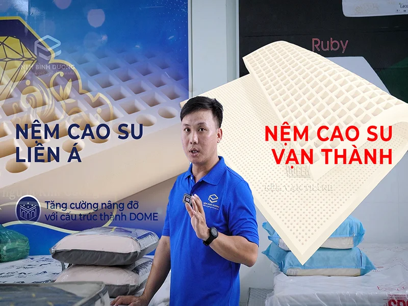 So Sánh Nệm Cao Su Liên Á Và Vạn Thành 1 So Sánh Nệm Cao Su Liên Á Và Vạn Thành