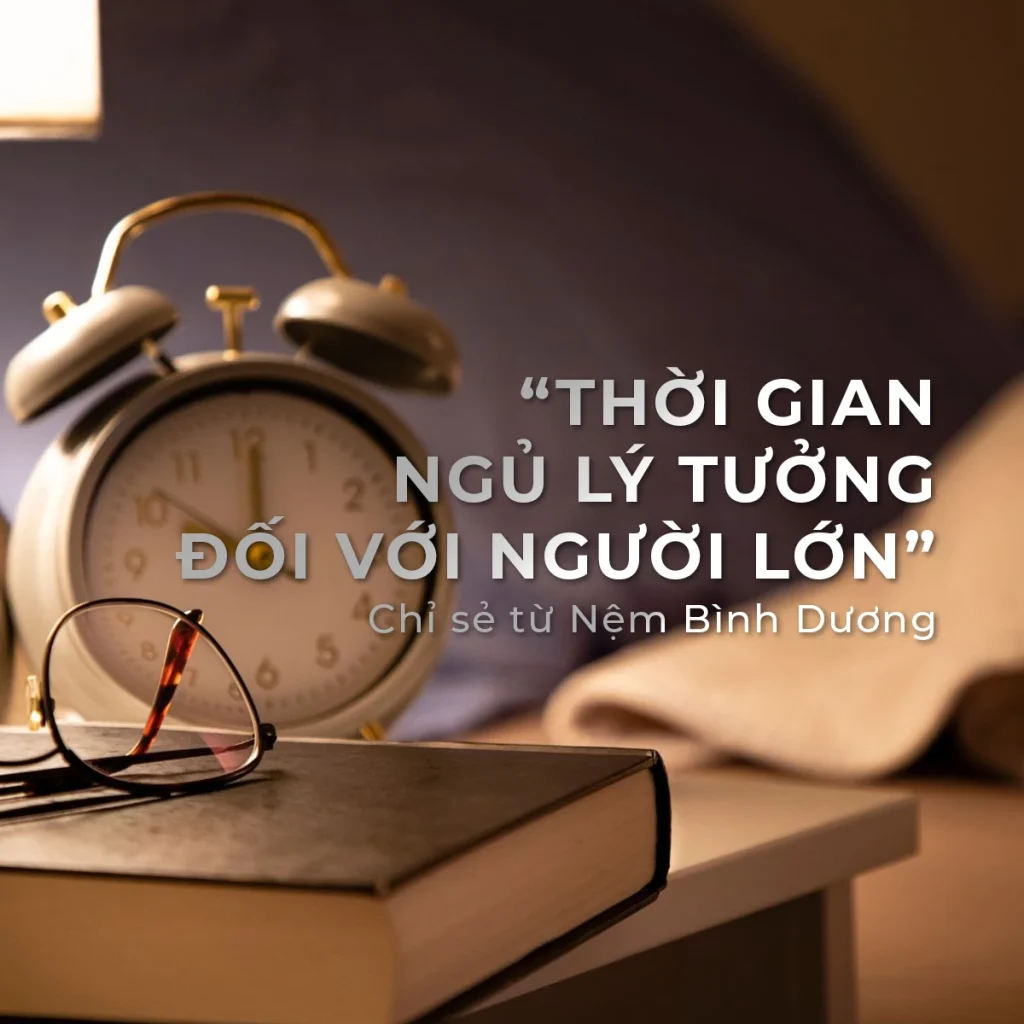 Thời gian ngủ lý tưởng đối với người lớn