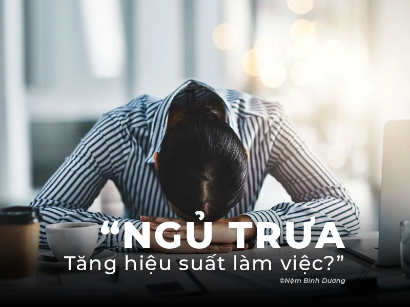 Ngủ Trưa Tăng Hiệu Suất Làm Việc?