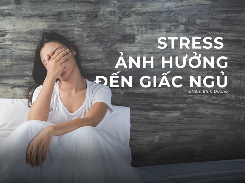 Stress ảnh Hưởng Giấc Ngủ: Hiểu Rõ Tác động Và Giải Pháp Cải Thiện Giấc Ngủ 1 Stress ảnh Hưởng Giấc Ngủ: Hiểu Rõ Tác động Và Giải Pháp Cải Thiện Giấc Ngủ