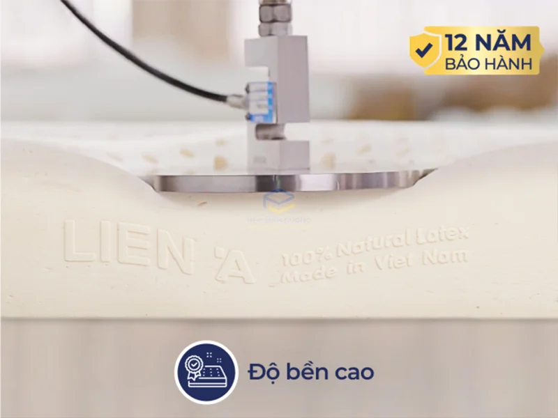 Nệm cao su Liên Á 5'Zone tại TPHCM 4 Nệm cao su Liên Á 5'Zone tại TPHCM