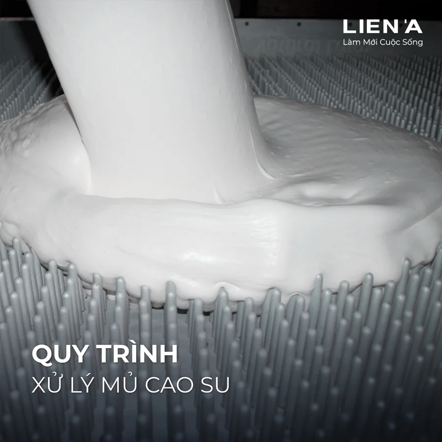 quy trình sản xuất nệm cao su Liên Á tại TPHCM 2 quy trình sản xuất nệm cao su Liên Á tại TPHCM