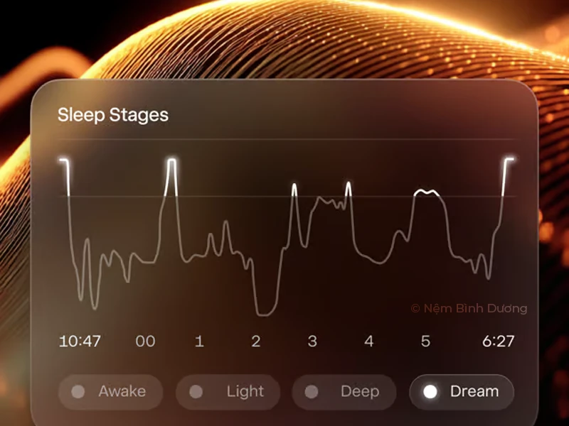 Ứng dụng theo dõi giấc ngủ Sleep Circle