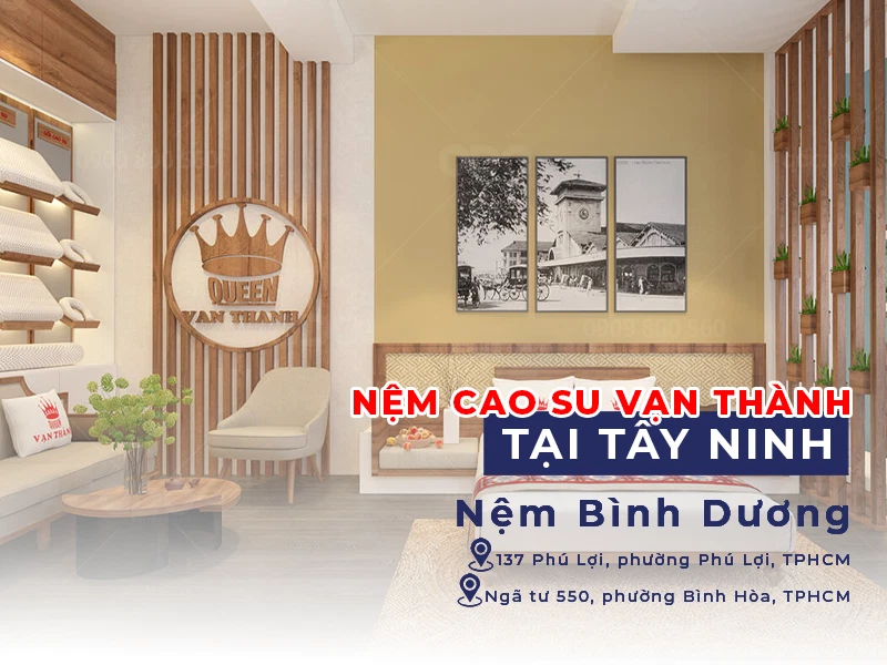 nem cao su van thanh tai tay ninh 1 nembinhduong