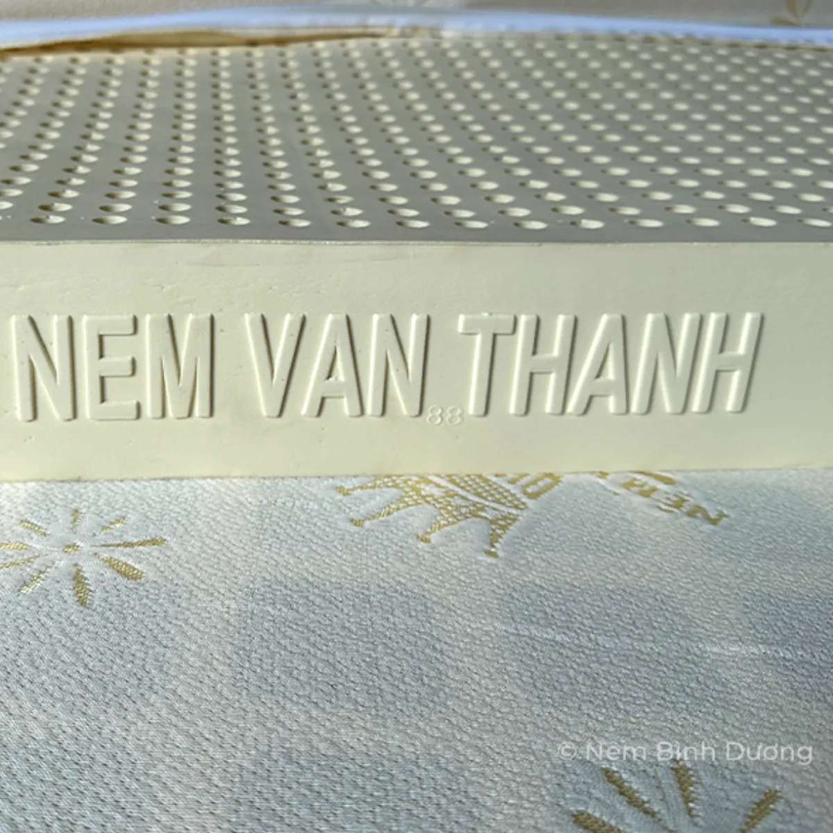 Nệm cao su Vạn Thành Standard tại Bến Cát 3 Nệm cao su Vạn Thành Standard tại Bến Cát