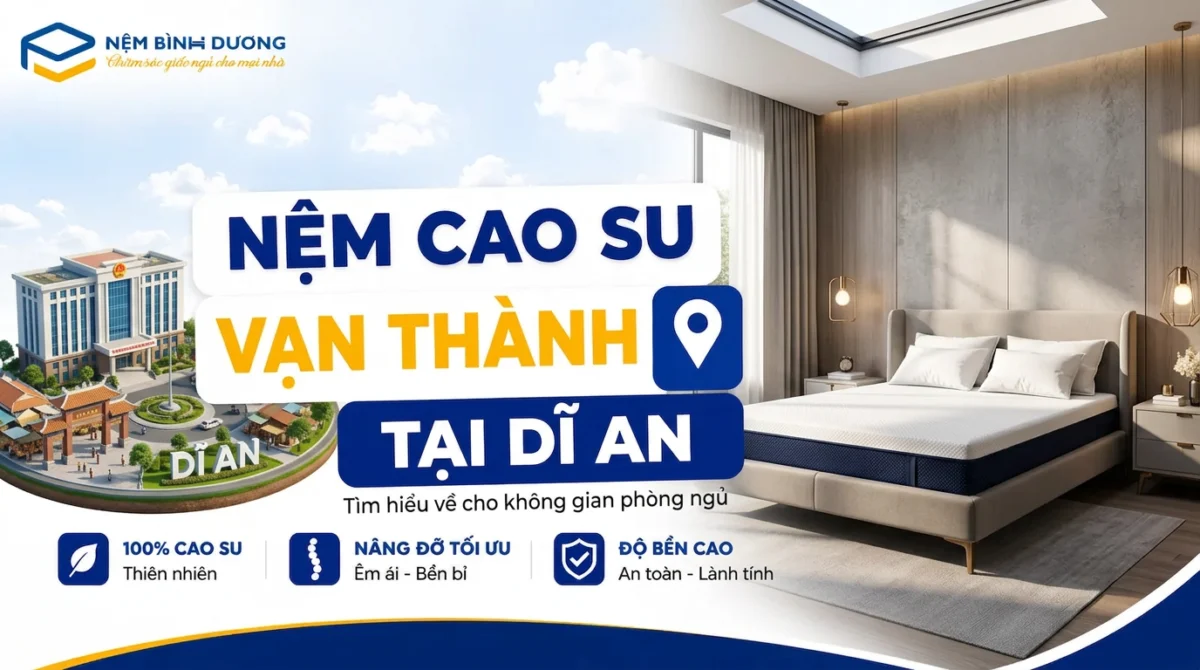 Nệm cao su Vạn Thành tại Dĩ An 1 Nệm cao su Vạn Thành tại Dĩ An