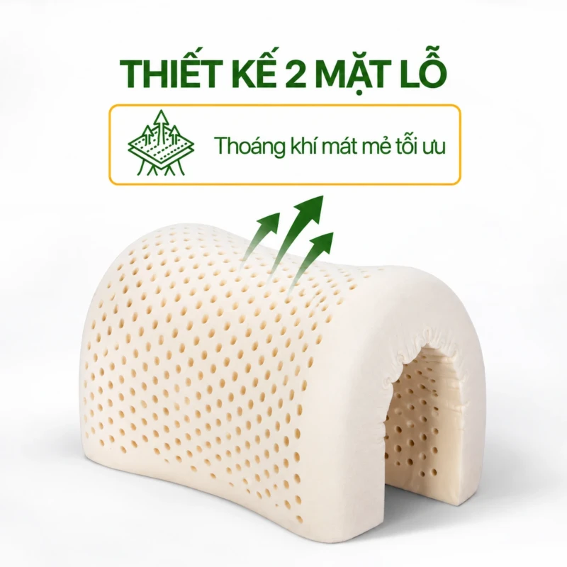 Gối nằm cao su Aroma 10 Gối nằm cao su Aroma