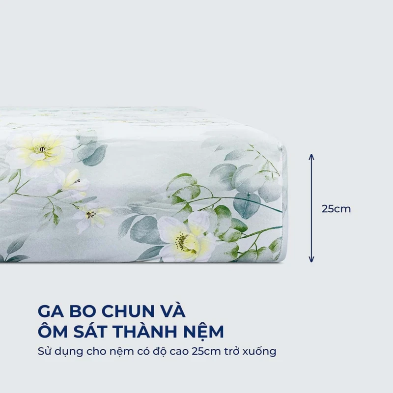 Bộ drap IKOOL9 4 món 8 Bộ drap IKOOL9 4 món