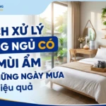 cach xu ly phong ngu co mui am sau nhung ngay mua hieu qua