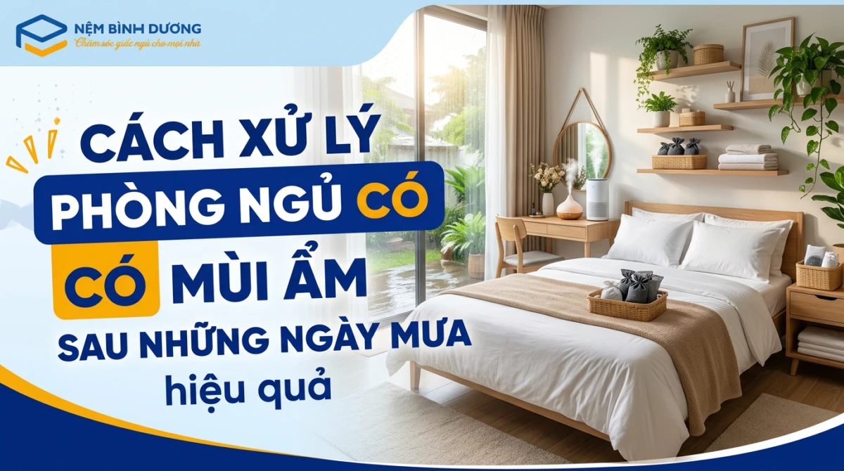 Cách xử lý phòng ngủ có mùi ẩm sau những ngày mưa hiệu quả 2 Cách xử lý phòng ngủ có mùi ẩm sau những ngày mưa hiệu quả