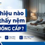 dau hieu nao cho thay nem da xuong cap
