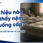 dau hieu nao cho thay nem da xuong cap nhung dieu can biet de bao ve giac ngu