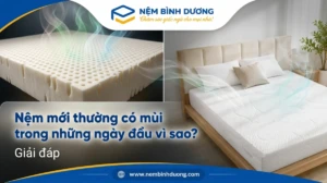 giai dap nem moi thuong co mui trong nhung ngay dau vi sao
