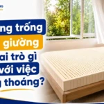 khoang trong duoi giuong co vai tro gi doi voi viec thong thoang