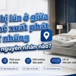 nem bi lun o giua co the xuat phat tu nhung nguyen nhan nao 2 2