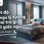 nhiet do phong ngu ly tuong co vai tro gi doi voi giac ngu cua ban