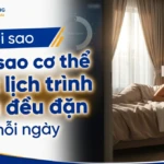 tai sao co the can mot lich trinh ngu deu dan moi ngay