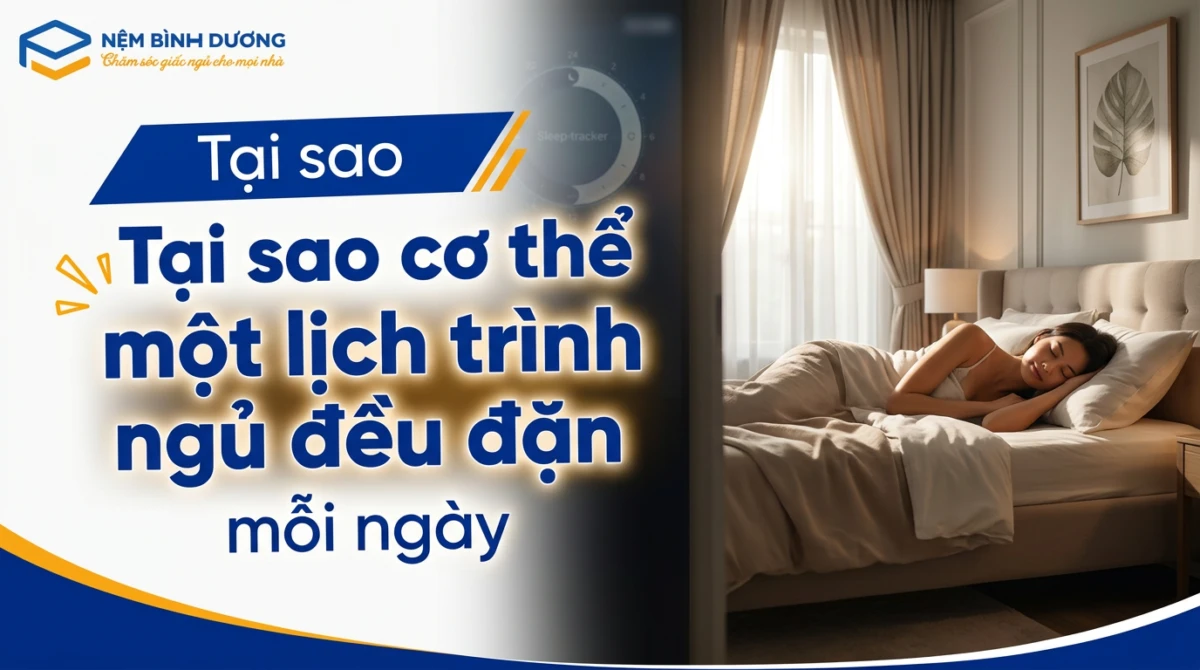 tai sao co the can mot lich trinh ngu deu dan moi ngay