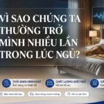 vi sao chung ta thuong tro minh nhieu lan trong luc ngu